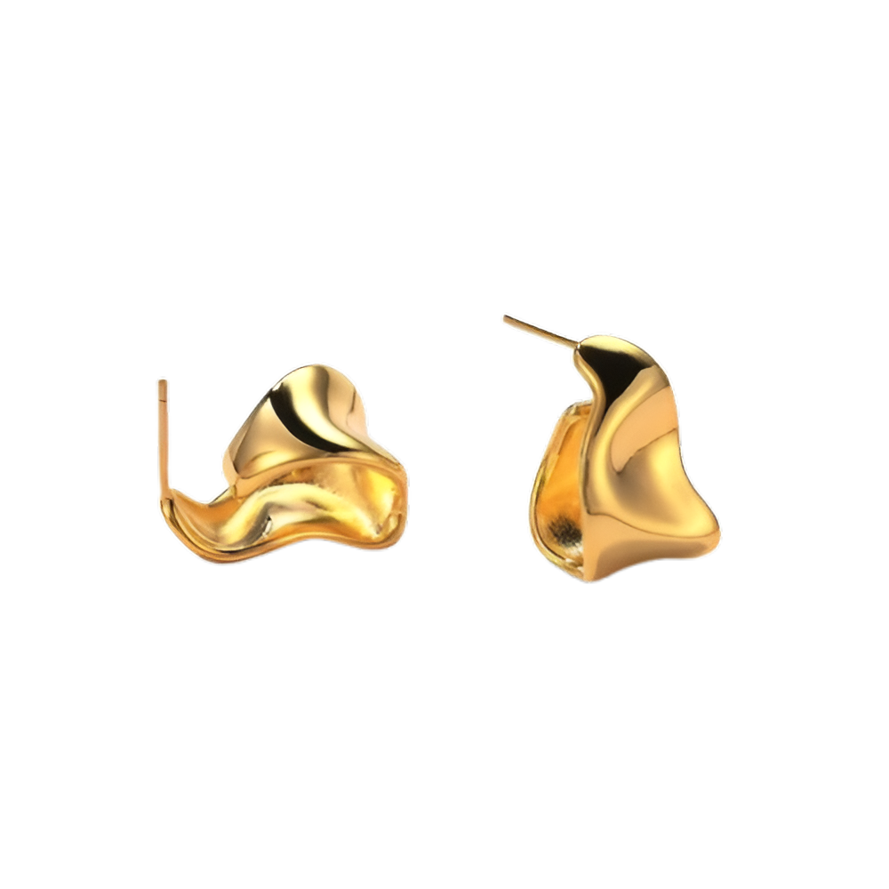 S925 Sculptural Earrings