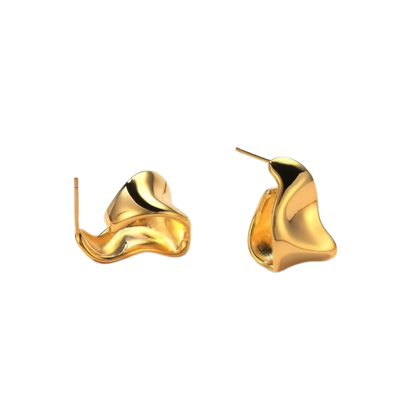 S925 Sculptural Earrings