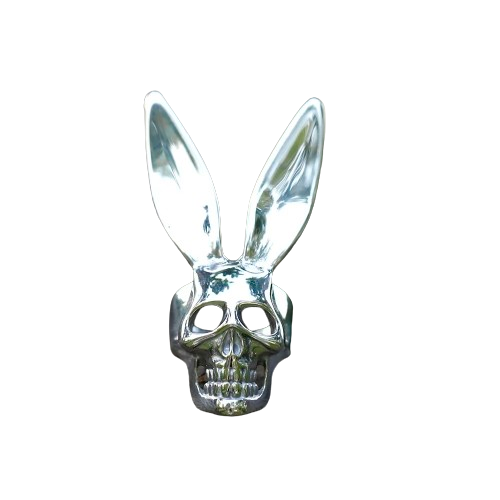 Bunny Skull Enigma